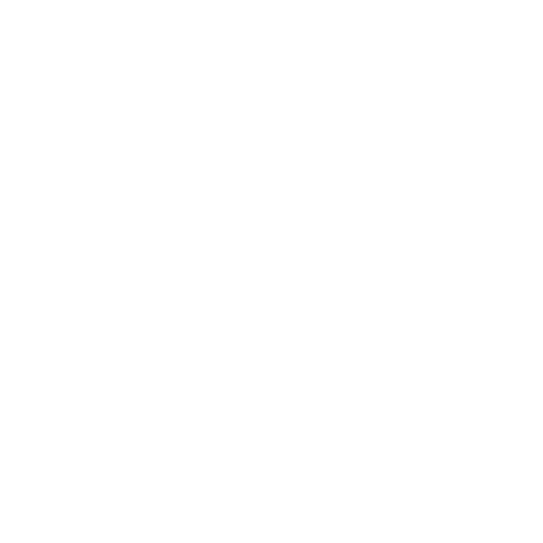 PÃUA Surf | Logo