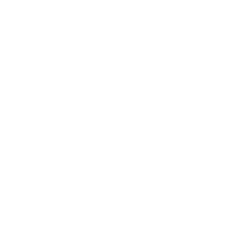 The Surf Factory | Logo
